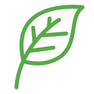 A simple green line drawing of a leaf on a white background.