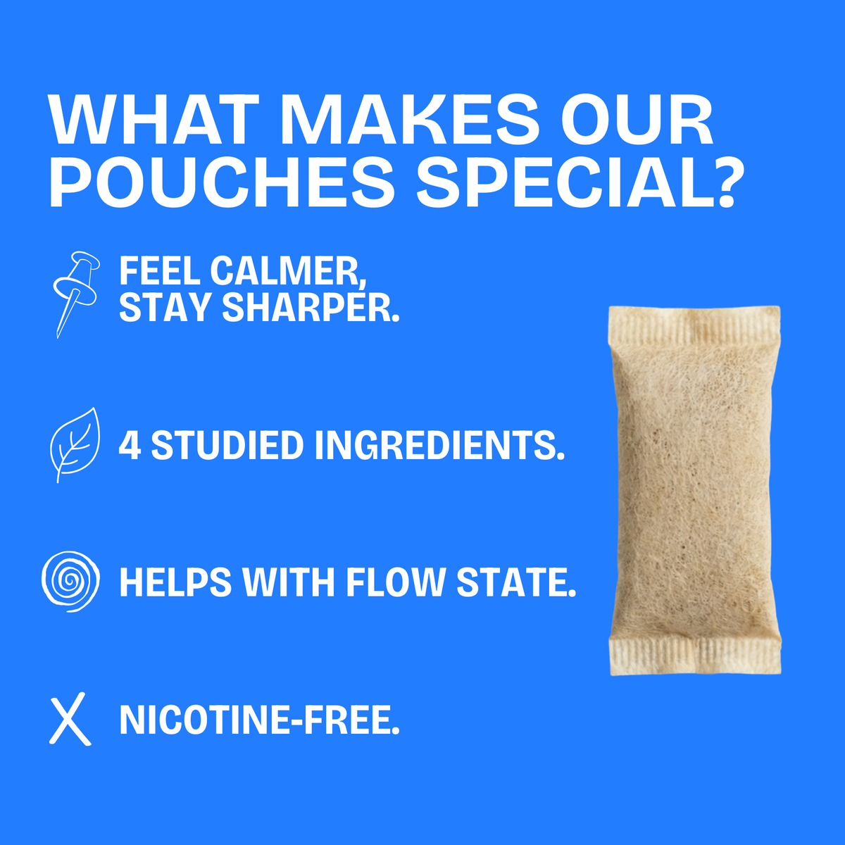 Loosey Goosey Nic-Free Wellness Pouches