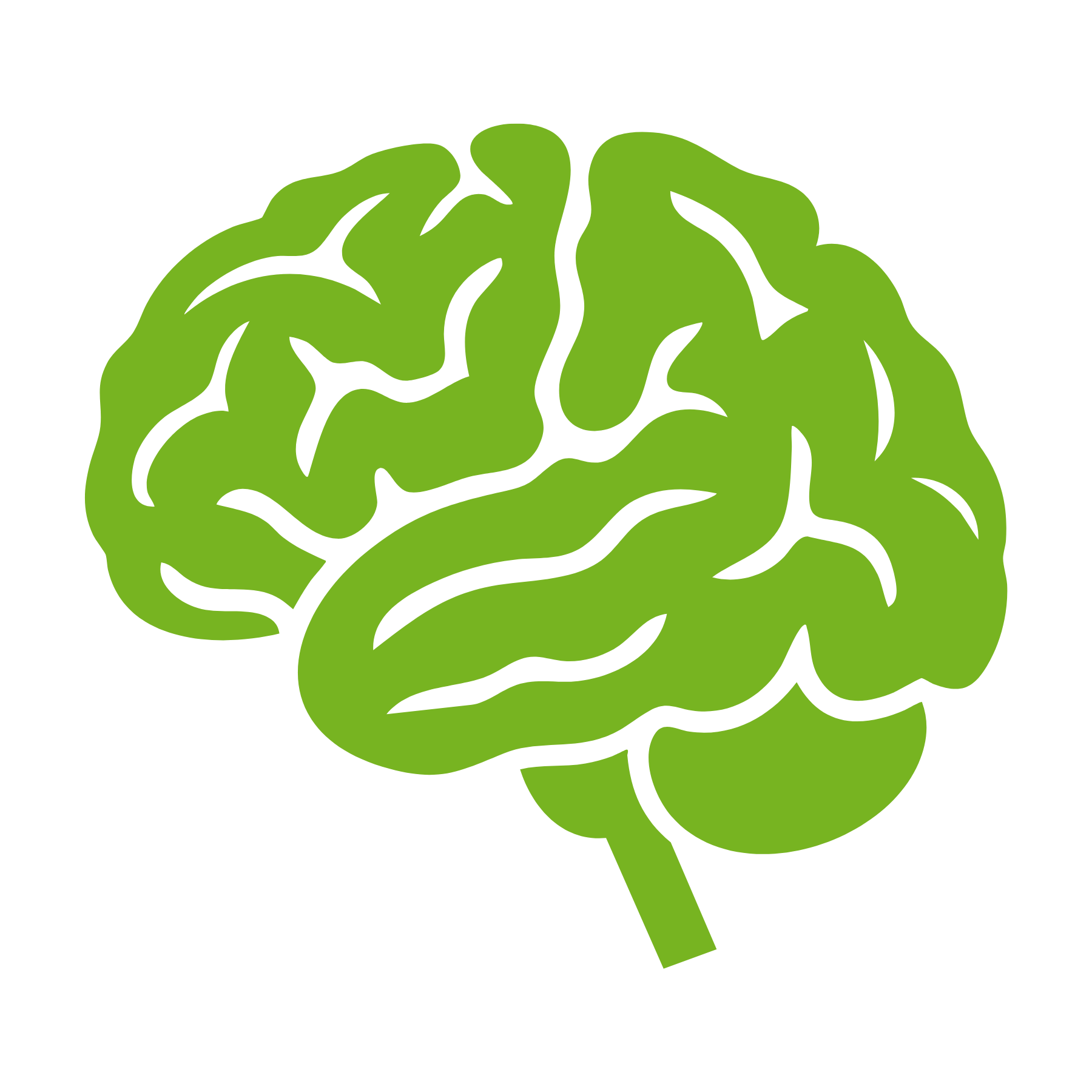 A simple, light green illustration of a human brain against a white background.